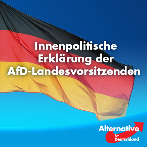 Innenpolitische Erklärung der AfD-Landesvorsitzenden vom 16.8.2016
