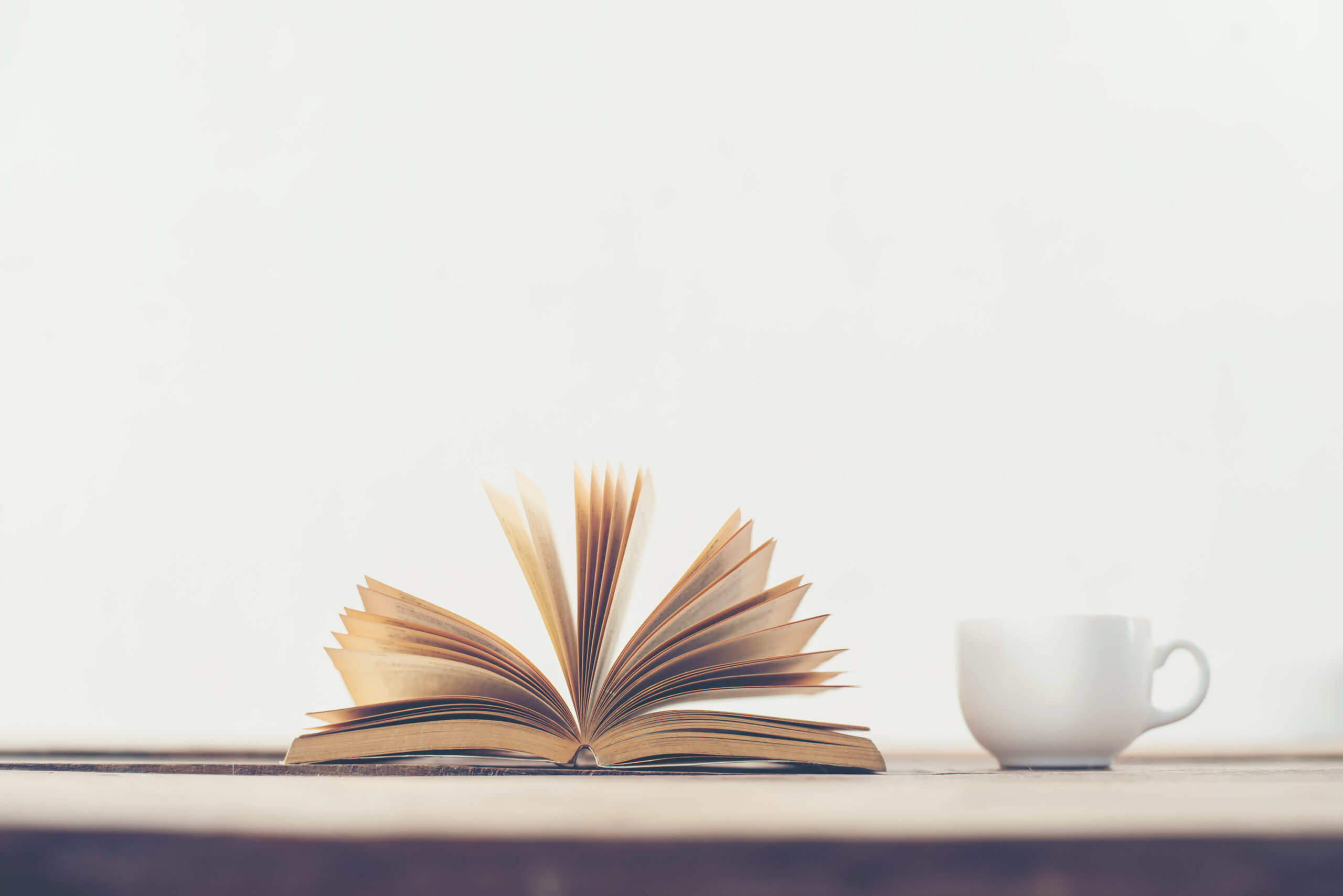 Buchempfehlungen Thema „Islam“