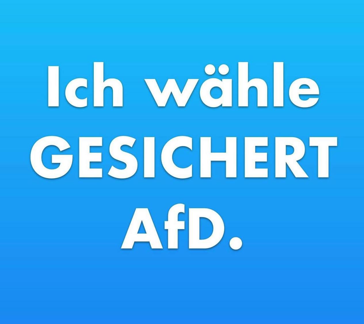 Wen werde ich wählen?