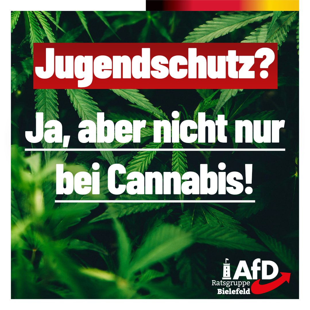 Mehr Ehrlichkeit in der Drogenpolitik!